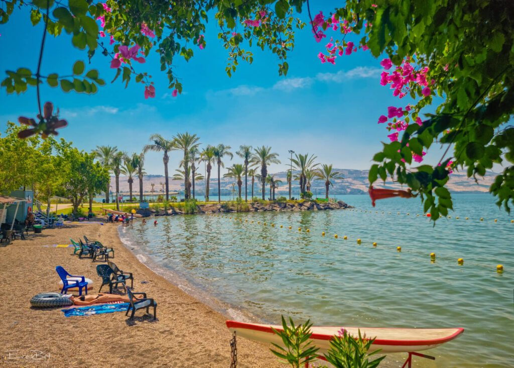 חופשה על שפת הכנרת חוף פרטי