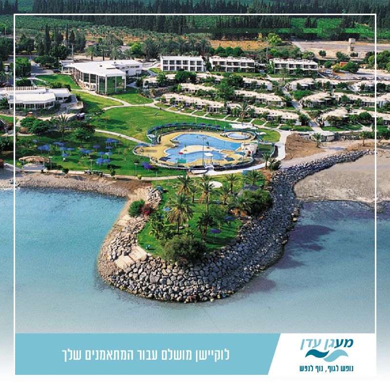 על שפת הכנרת